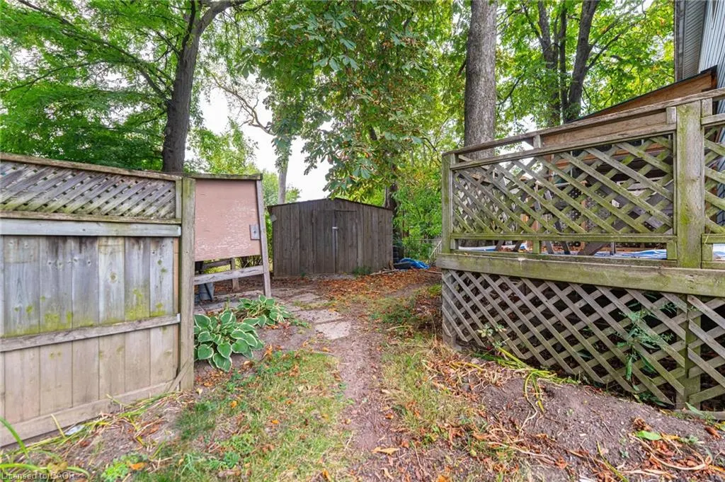 11 Elmwood Avenue