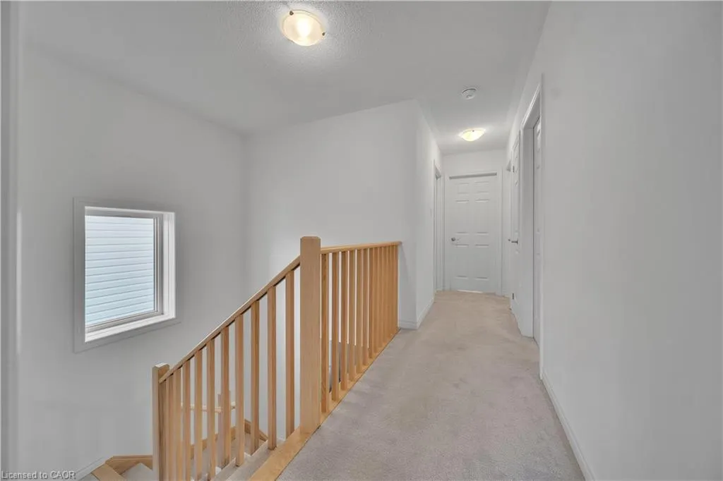 39 Spicer Street