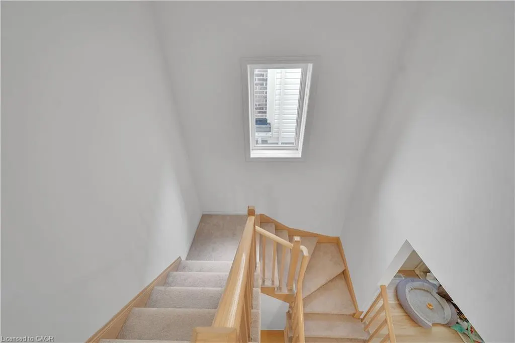 39 Spicer Street