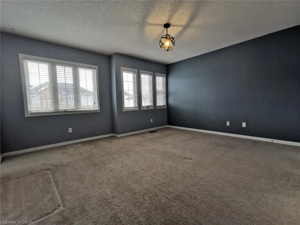 559 Wood Nettle Way
