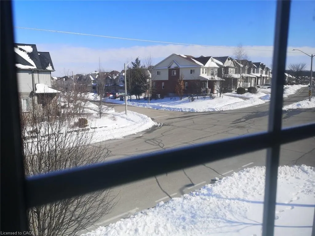 559 Wood Nettle Way