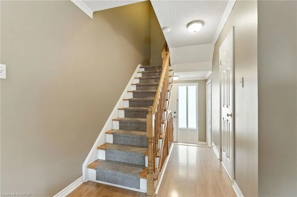 3008 Palmer Drive, #5