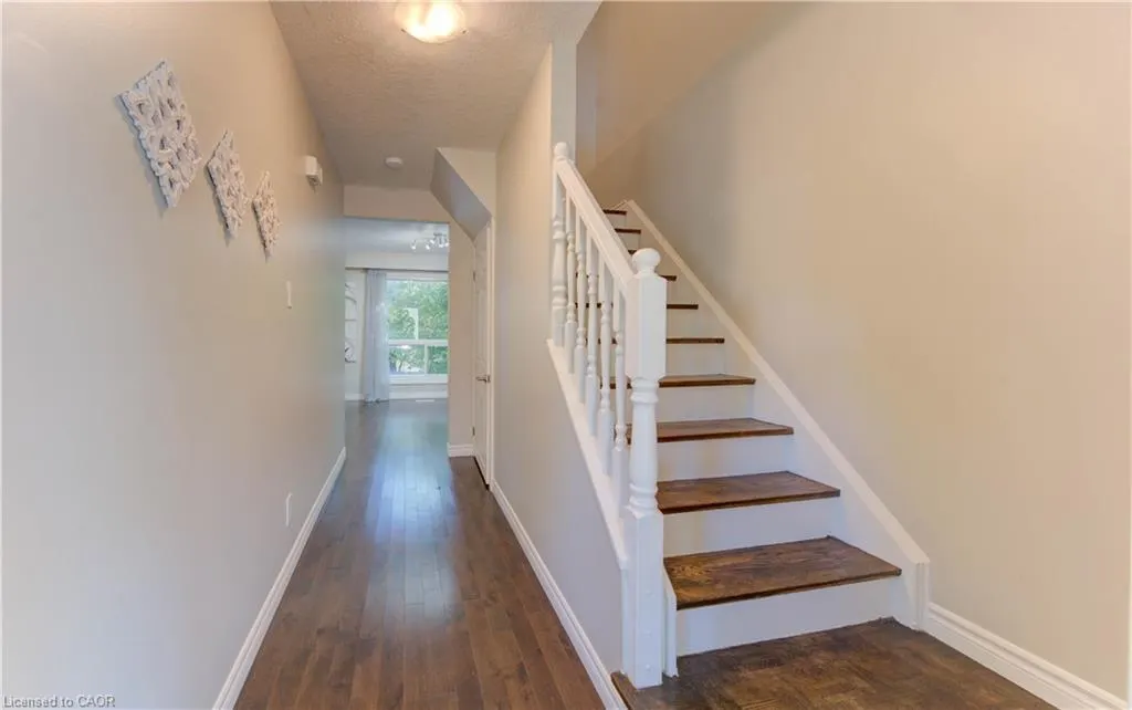 113 Dalegrove Drive