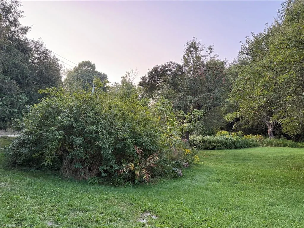 585 Wilmot Line