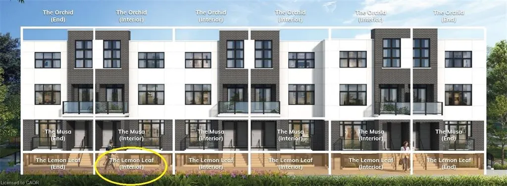 31 Mill Street, #51