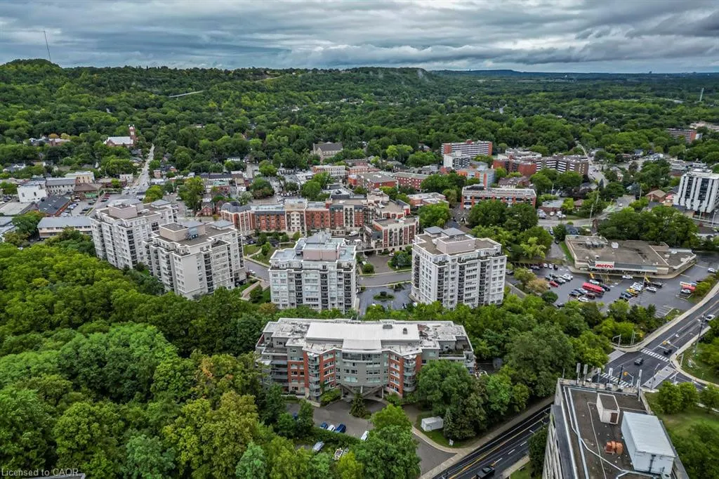 77 Governors Road, #604