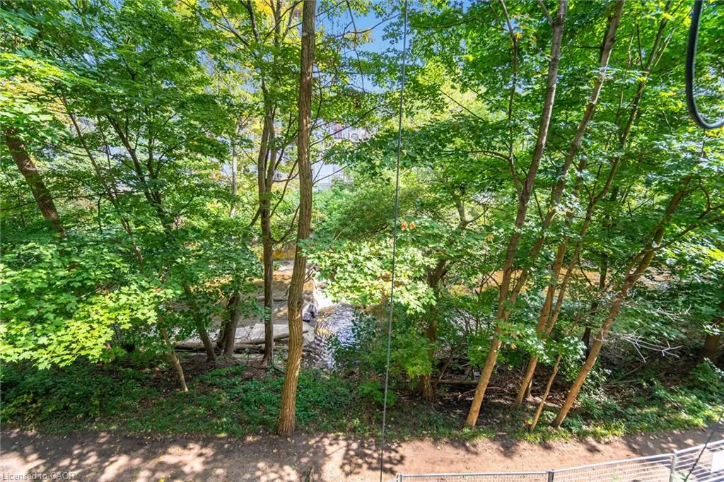77 Governors Road, #204