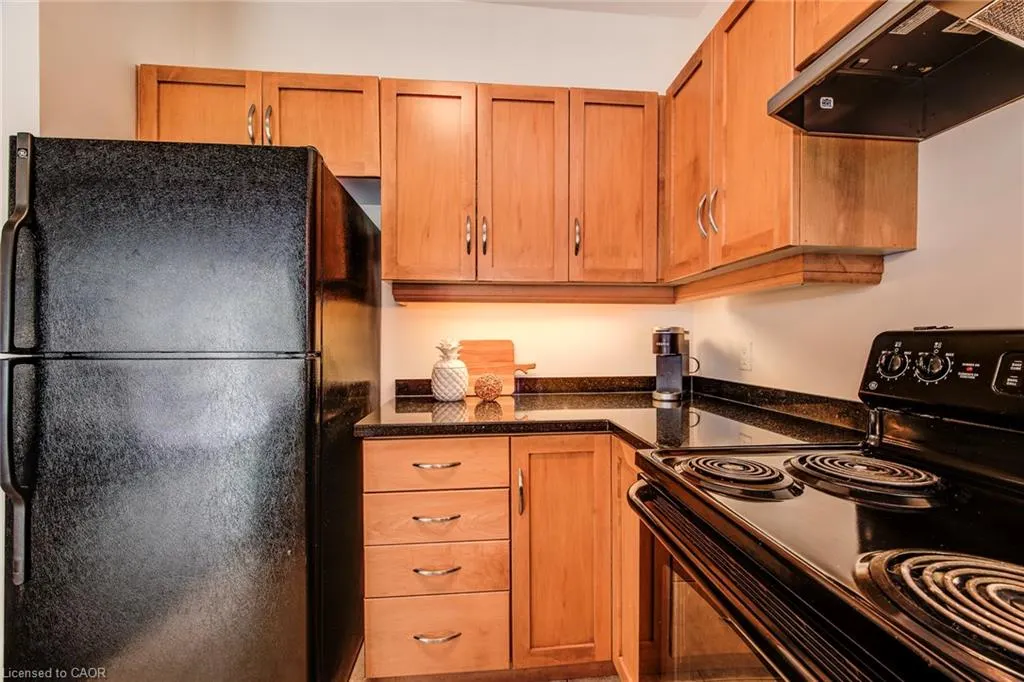 165 Duke Street E, #110