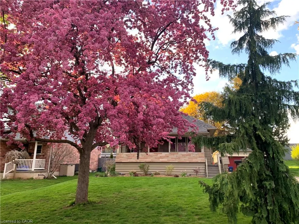 310 Kitchener Road