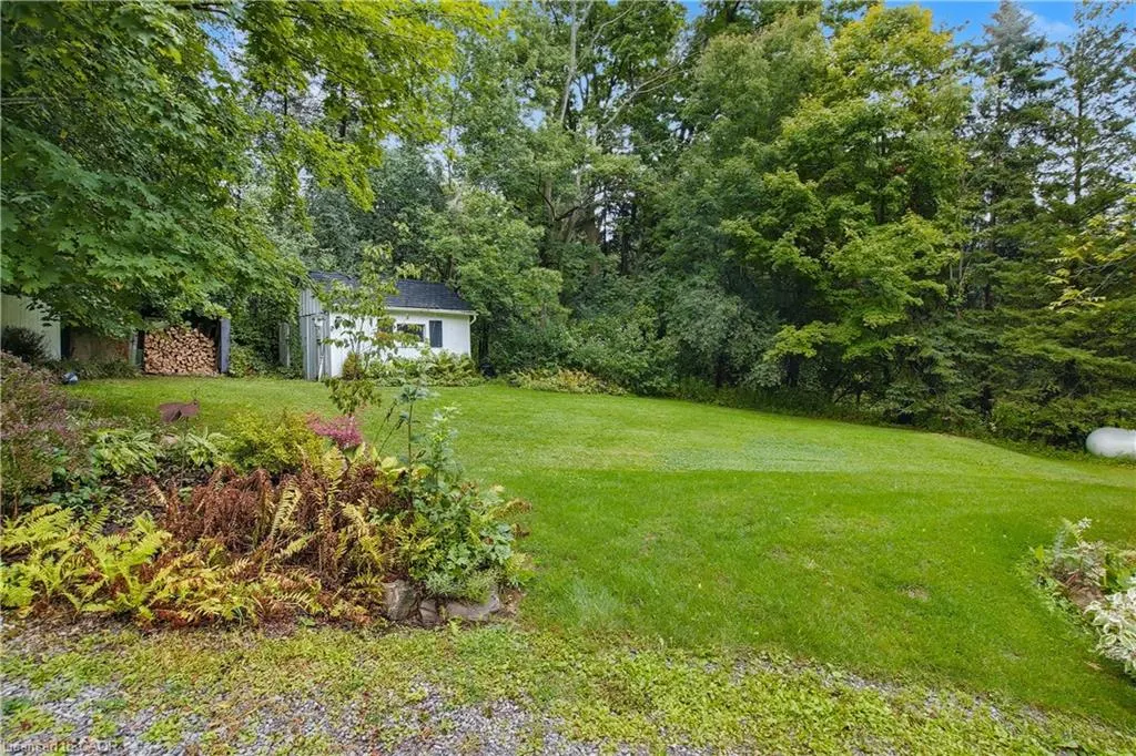 1097 Mineral Springs Road