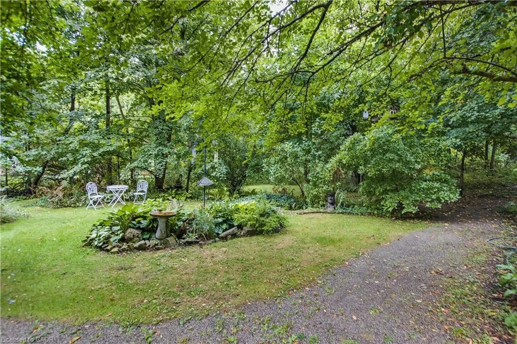1097 Mineral Springs Road