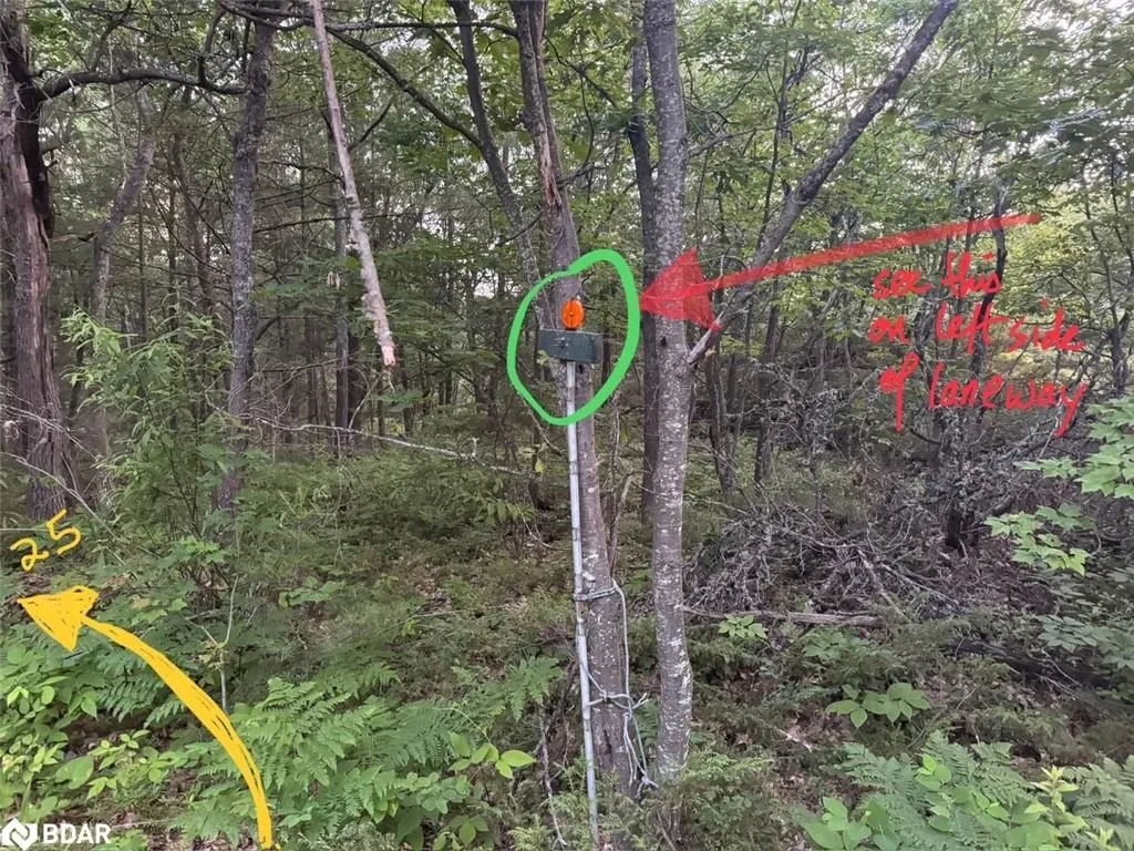 25 Shawanaga Landing Road