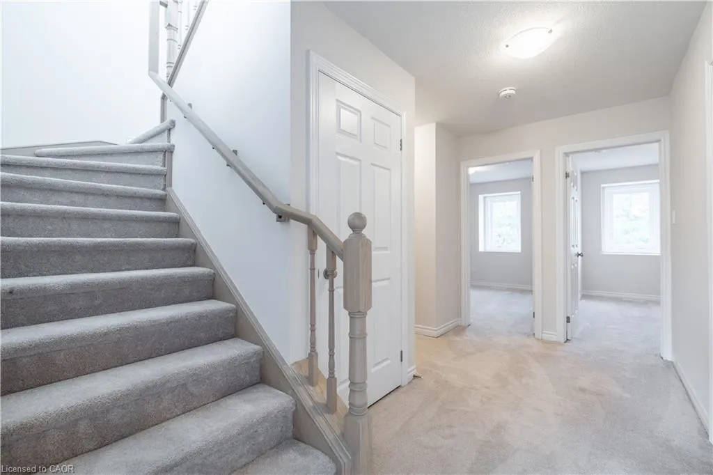 677 Park Road, #7