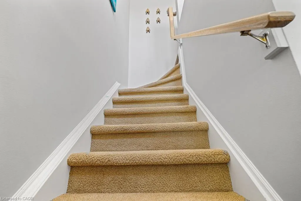 104 Frances Avenue, #5