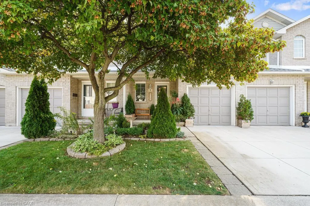 104 Frances Avenue, #5