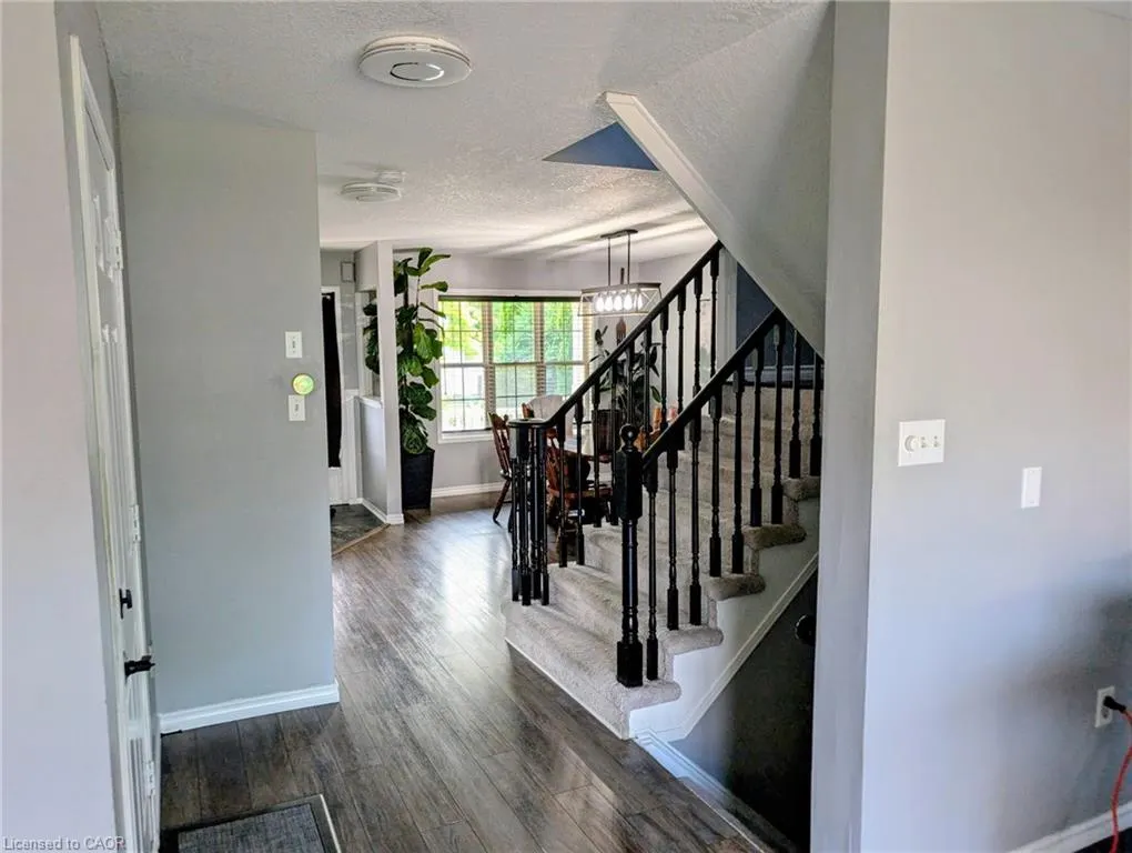 5 Mavin Street