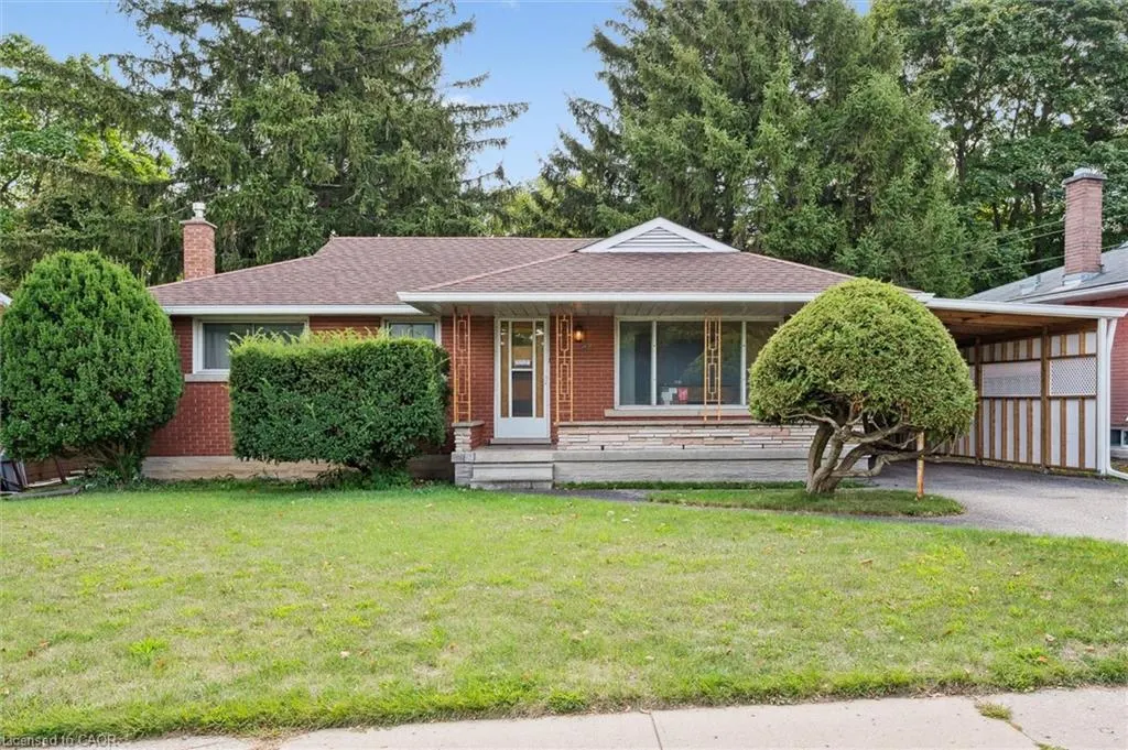 41 Boniface Avenue