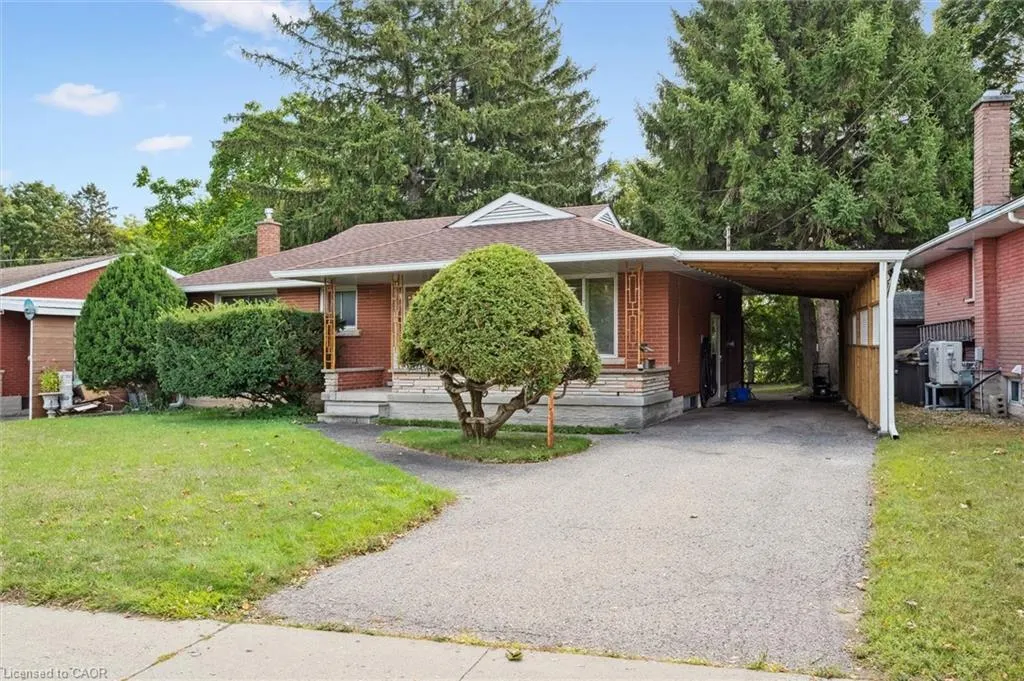 41 Boniface Avenue