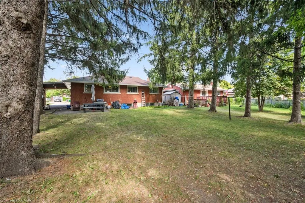 41 Boniface Avenue