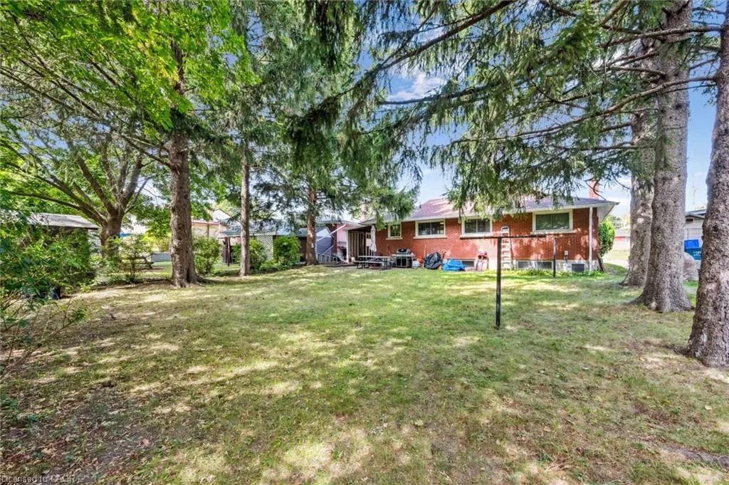 41 Boniface Avenue