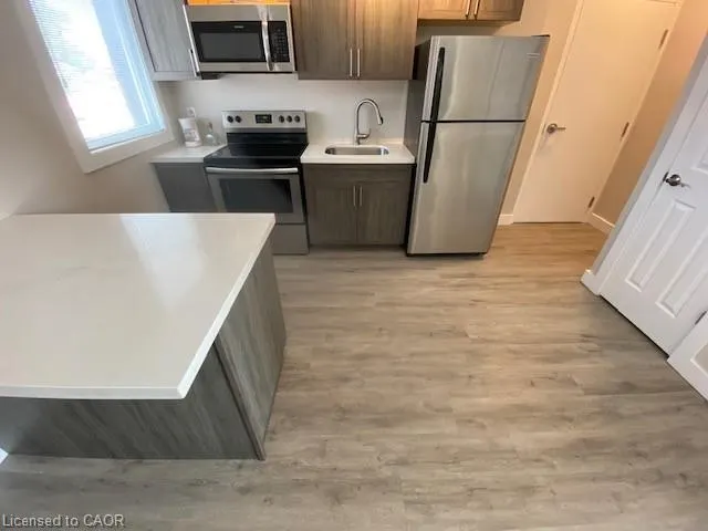 161 Wellington Street N, #205