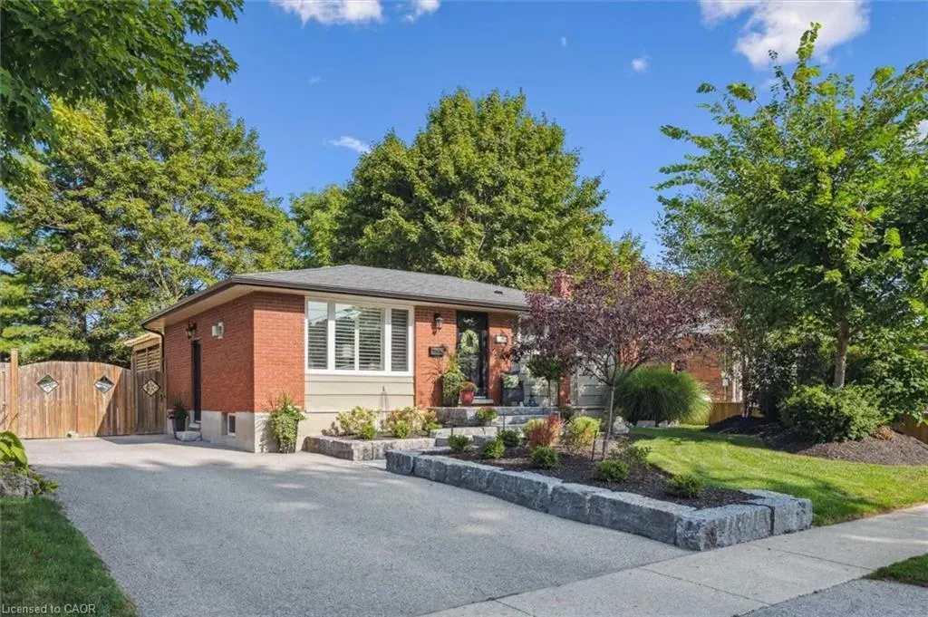 12 Carter Drive