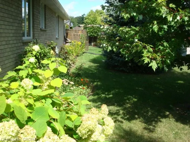 151 Attwood Drive