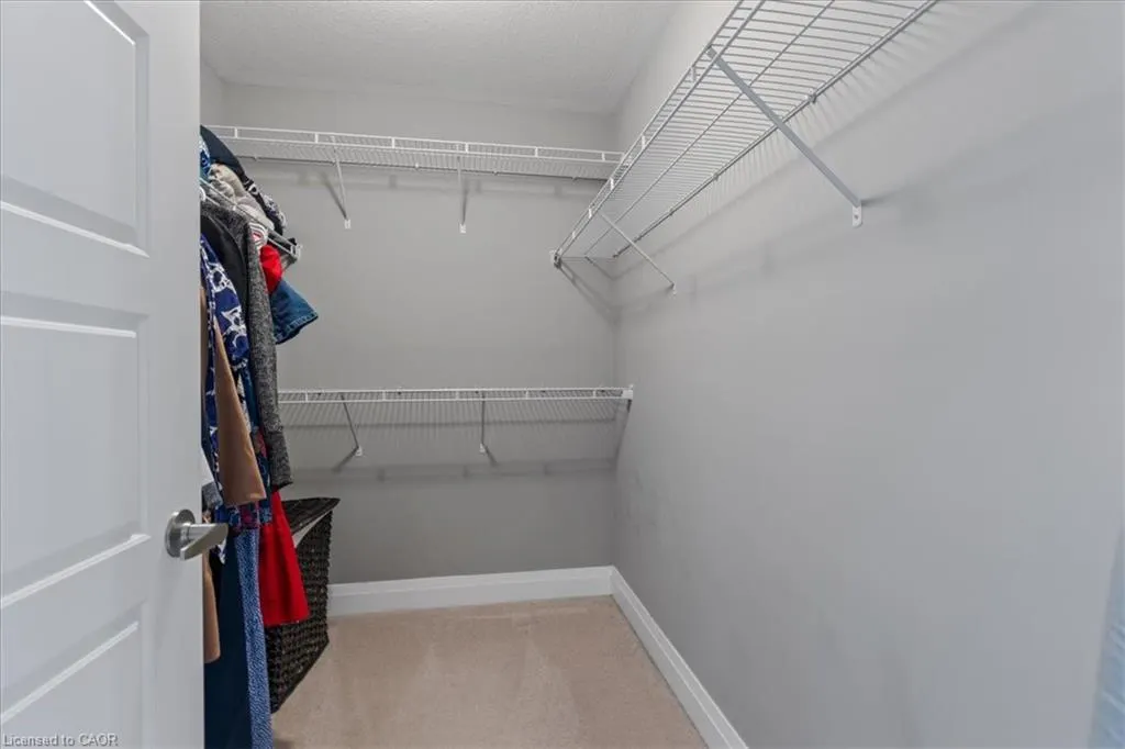 504 Equestrian Way