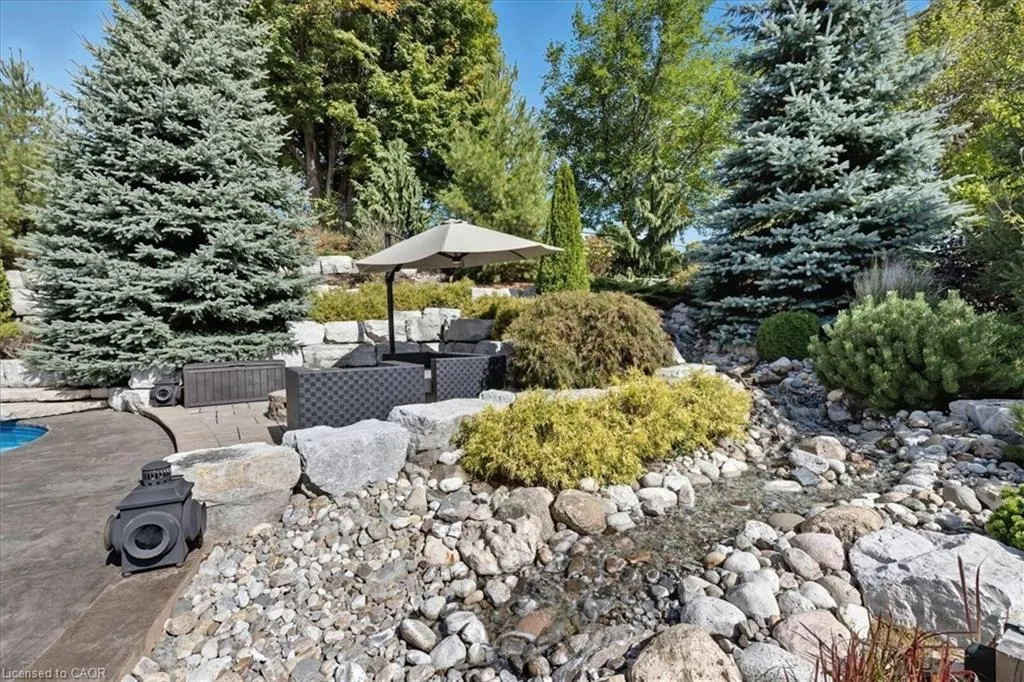 237 River Birch Street