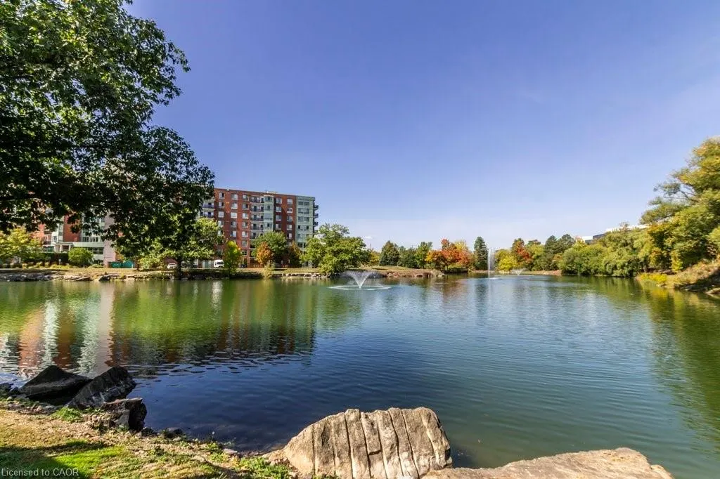 52 Blue Springs Drive, #11
