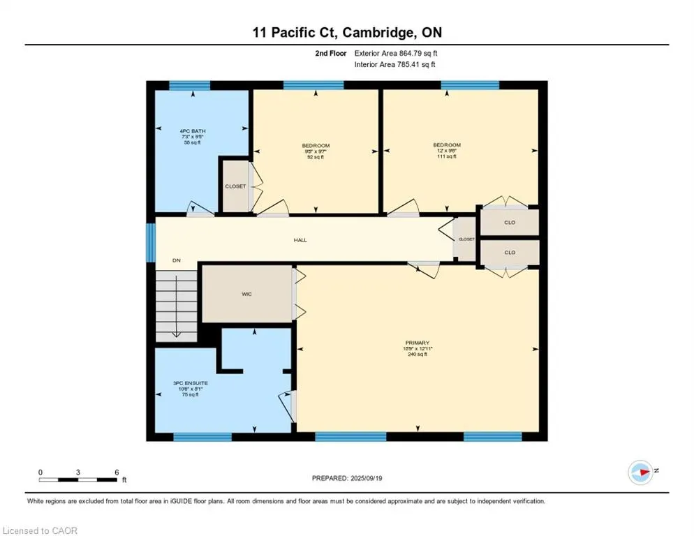 11 Pacific Court