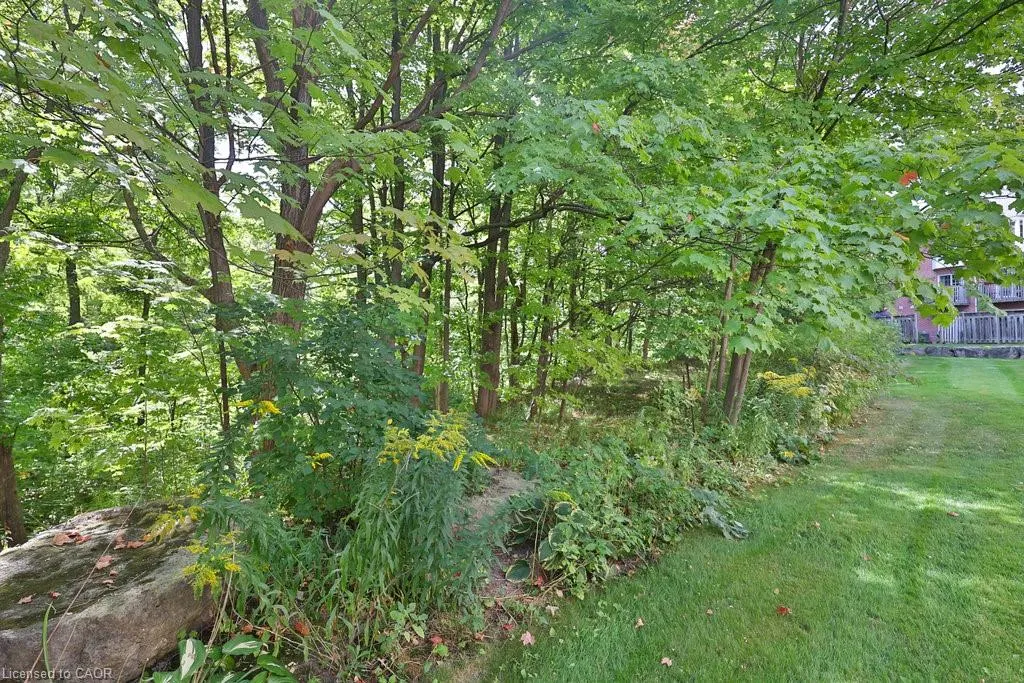 3480 Upper Middle Road, #50