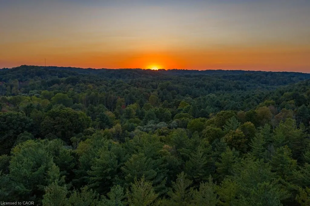 244 Brookview Court