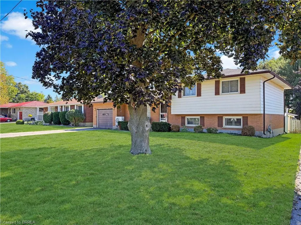 46 Davis Street W