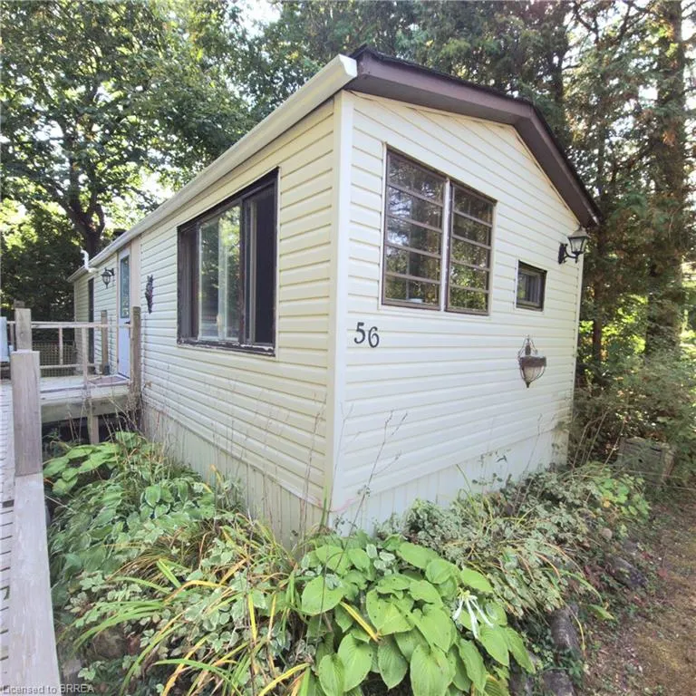 56 Beaver Lane