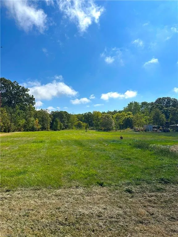 295 Park Road S