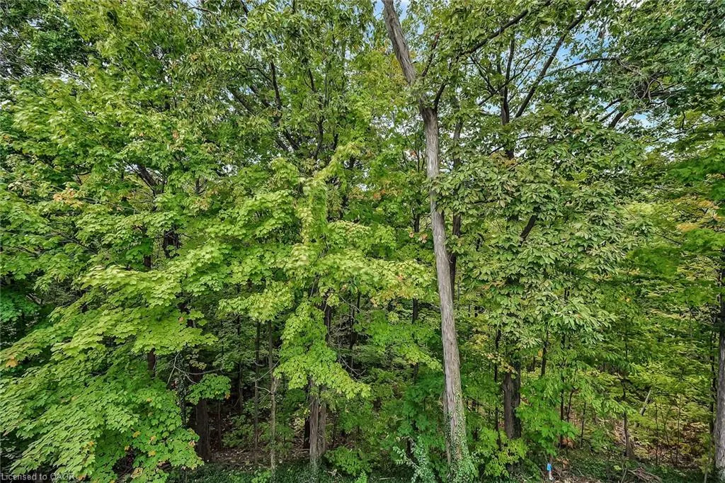 1560 Kerns Road, #7