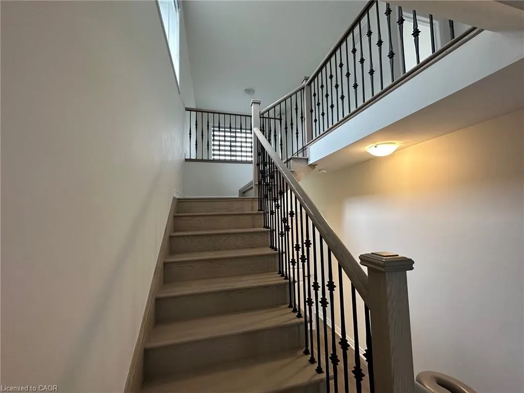 3 Bee Crescent