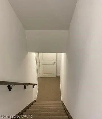 41 Dennis Drive