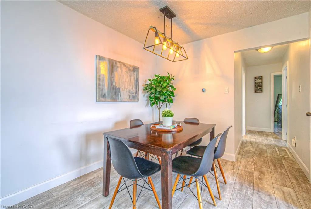 10 Palomino Drive