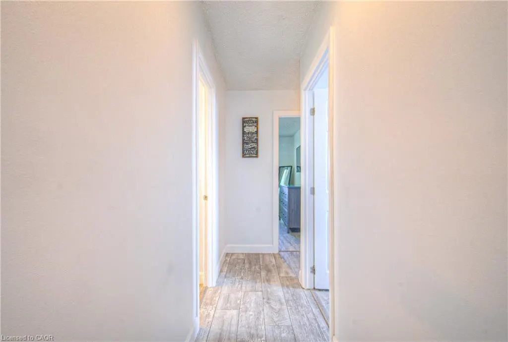 10 Palomino Drive