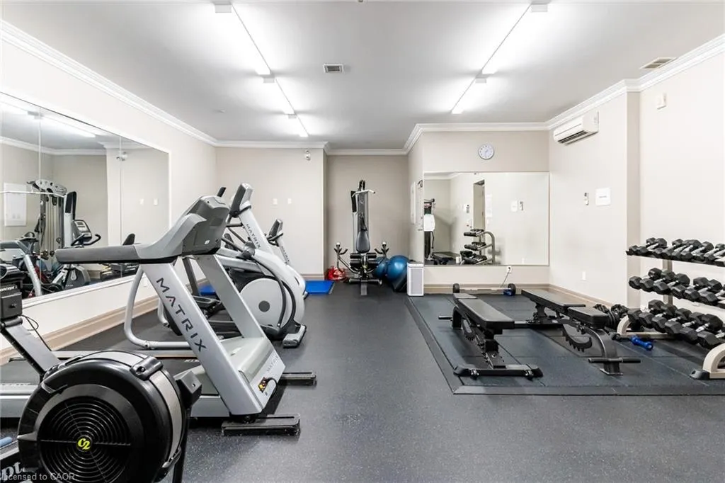 397 King Street W, #215