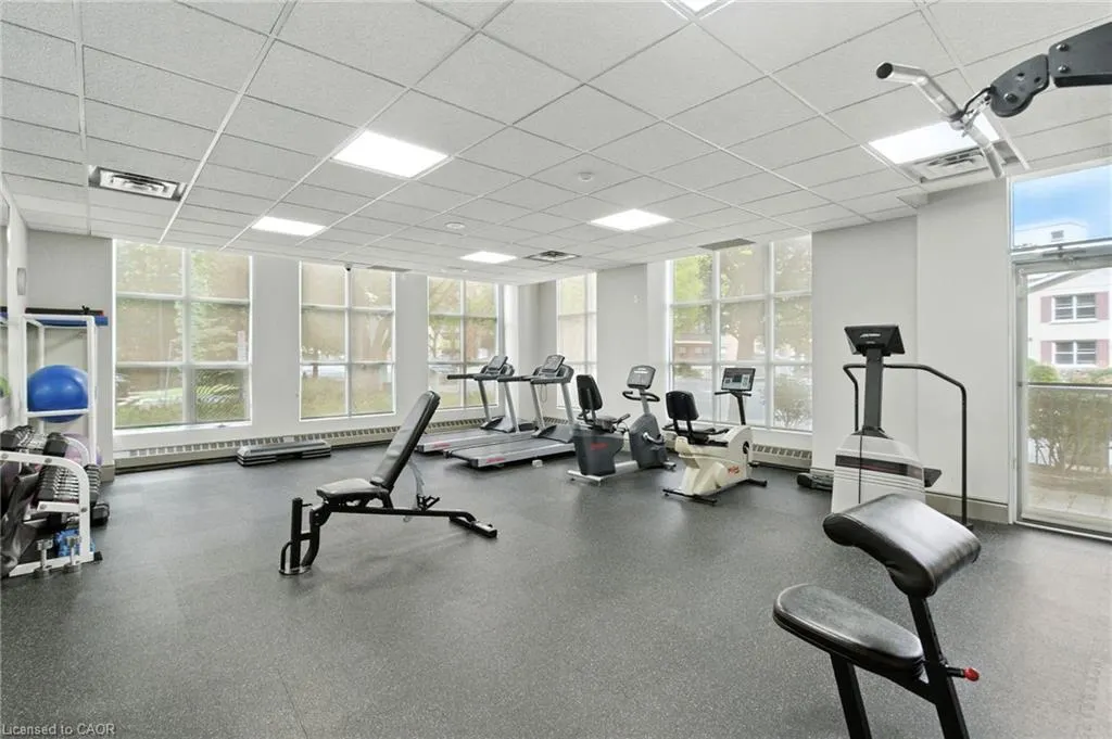 442 Maple Avenue, #7