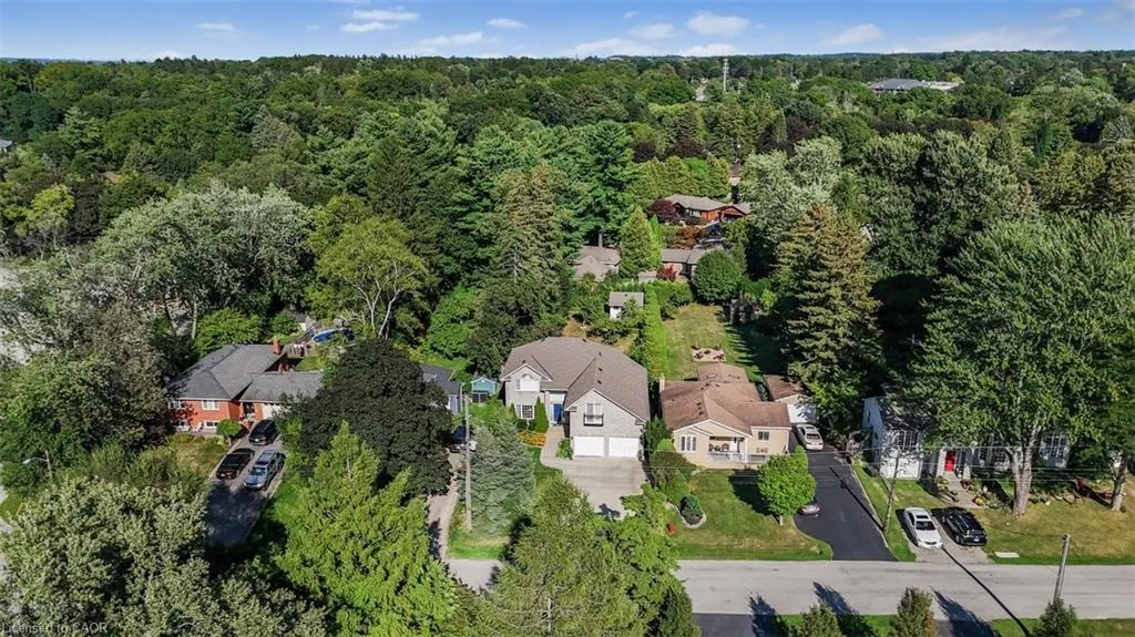 51 Orchard Drive