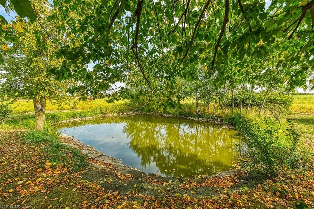 484 Hald-Dunn Townline Road