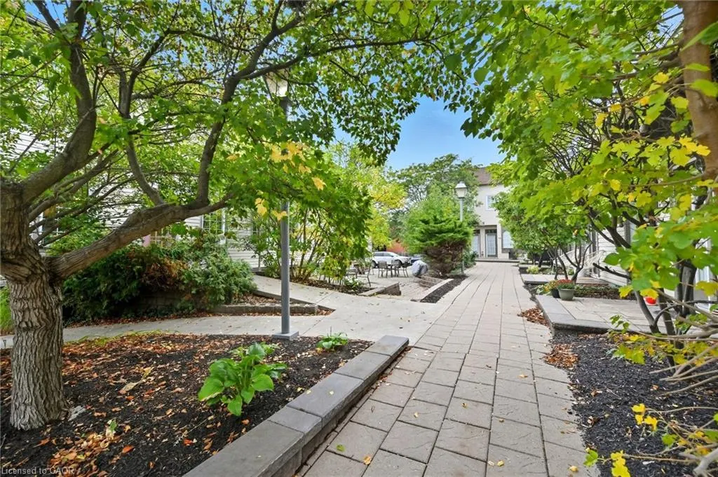 49 Ontario Street, #1