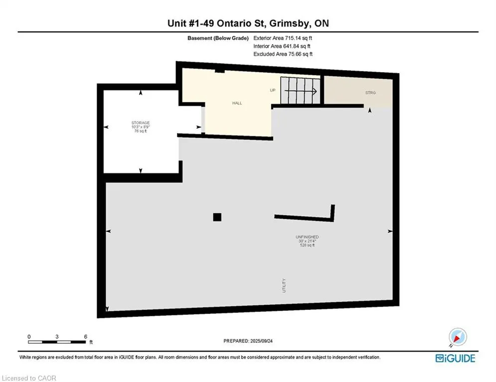 49 Ontario Street, #1