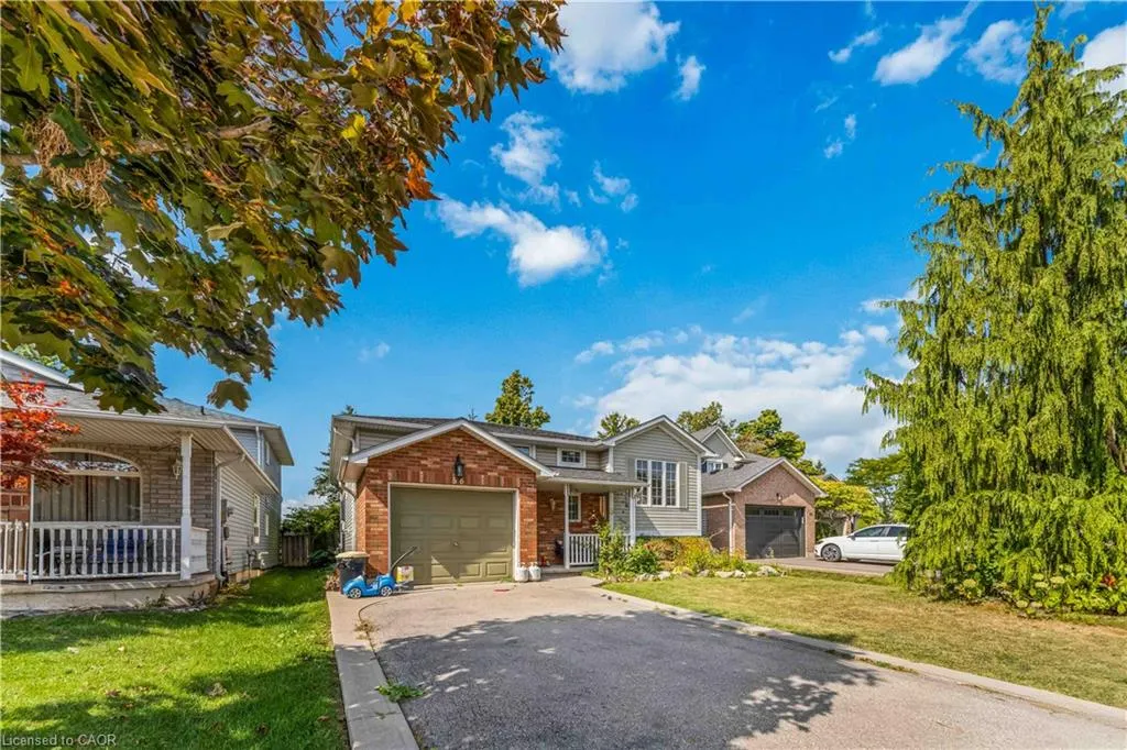 56 Celtic Drive