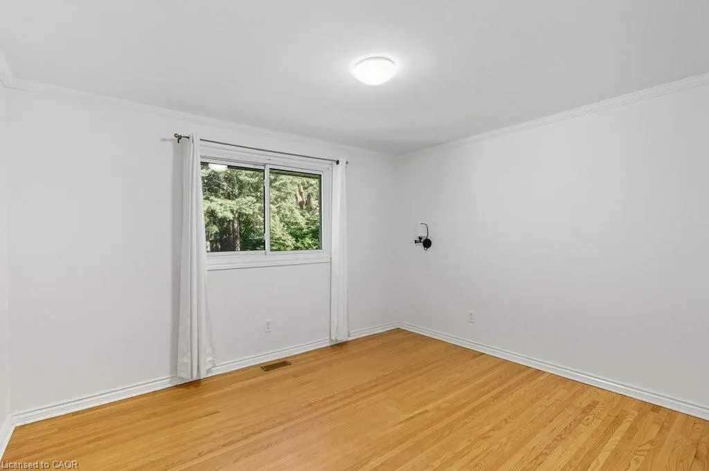 207 Spring Trail