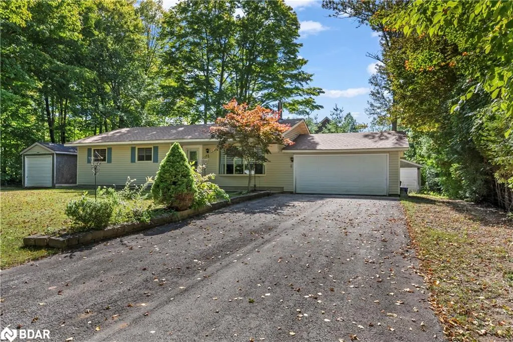 42 Birch Street